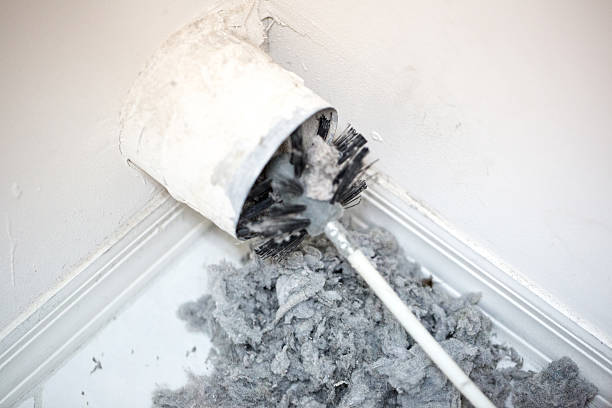 Best Professional Duct Cleaning Services  in Avondale, PA